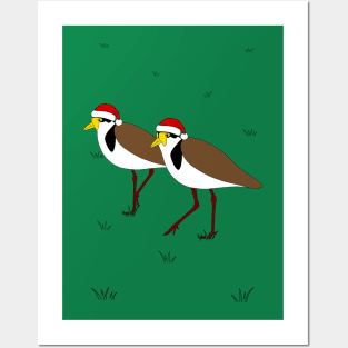 Christmas Plover Posters and Art